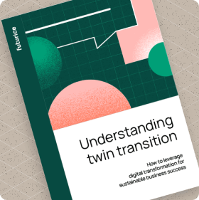 Understanding twin transition